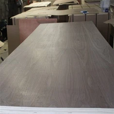 Contraxapat de xapa de melamina de luxe de noguera negra